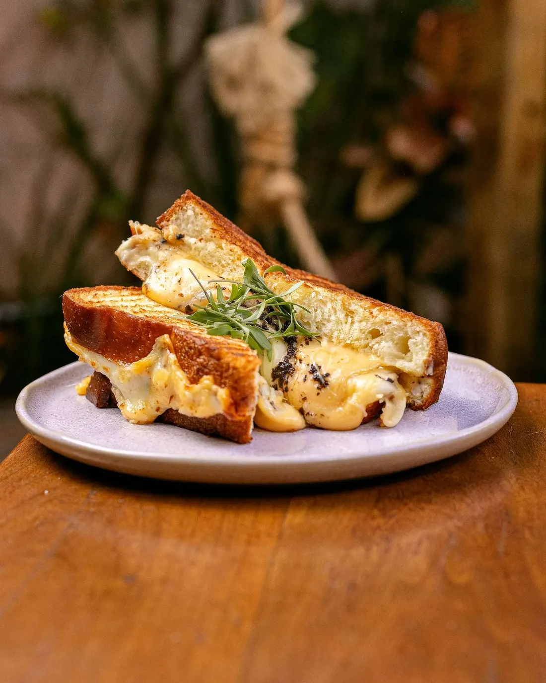Cheese trufado