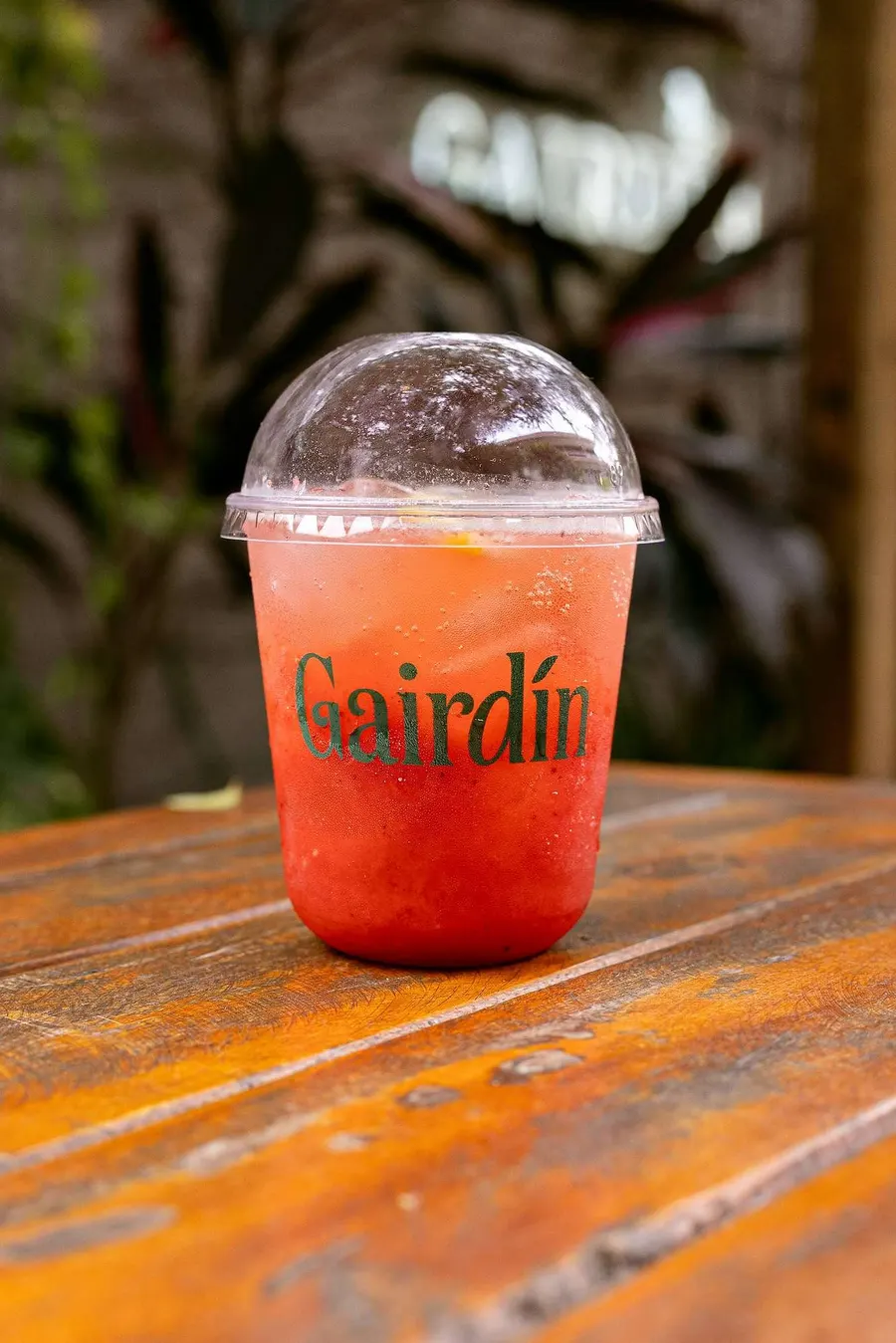 Bebida Gairdín