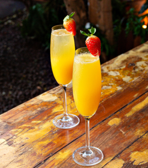Mimosa